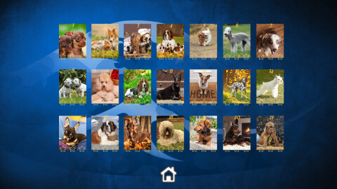 Puppy Dog: Jigsaw Puzzles