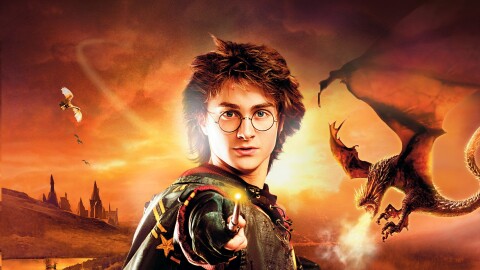 Harry Potter: The Goblet of Fire Иконка игры