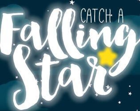 Catch a Falling Star Иконка игры
