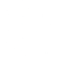 Команда apinaorkesteri Лого