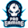 ProGaming e-Sports Logo