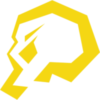 Команда piratesports Лого