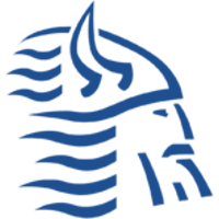 Команда Lyngby Vikings Лого