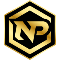 Команда NerdPunt Лого
