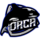 Team Orca Logo