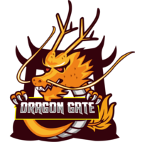 Dragon Gate Team