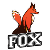Команда Fox Gaming Лого