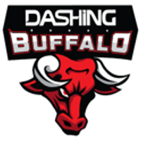 Dashing Buffalo logo