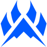 Команда Arctic Лого