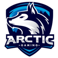 Команда Arctic Gaming Лого