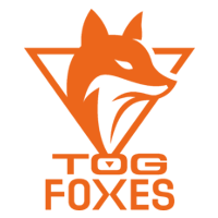 TOG logo