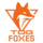 TeamOrangeGaming Logo