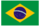 Team Brasil Logo