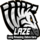 Long Amazing Zebra Ears Logo