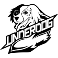 Under logo