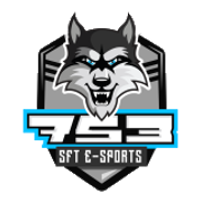 SFTe-sports
