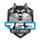 SFTe-sports Logo