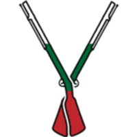 VOYVODA logo