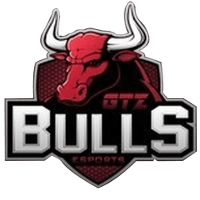 Команда GTZ Bulls Лого