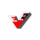 Team EVER Logo