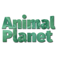 Команда Animal Planet Лого