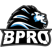 Команда Bpro Gaming Лого