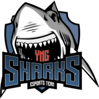 Команда YNG Sharks Лого