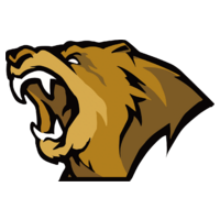 LVG logo