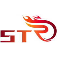 Команда Team ST Лого