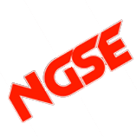Команда nGse Лого