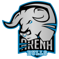 Команда Arena Bulls Лого