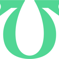 Team Undying logo
