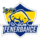 Fenerbahçe Academy Logo