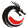 Team Dragon Knights Logo