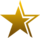 TEAM STAR Logo