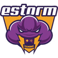 Команда E-STORM Лого