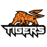 Команда Intergalaxy Tigers Gaming Лого