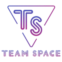 Команда Team Space Лого