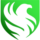 Team Falcons Logo