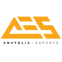 Команда Anatolia e-Sports Лого