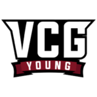 Команда Vicious Gaming Young Лого