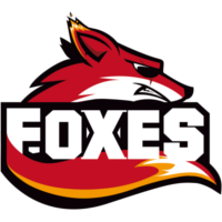 Команда Foxes Лого