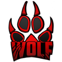 Team Wolf logo