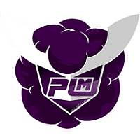 Команда Purple Mood E-Sport Лого
