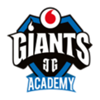 Vodafone Giants Academy logo