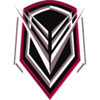 Team Virgo logo