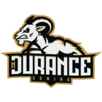 nDurance Gaming logo