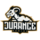 nDurance Gaming Logo