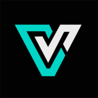 Vinary Esports logo