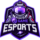 2GAME Esports Logo
